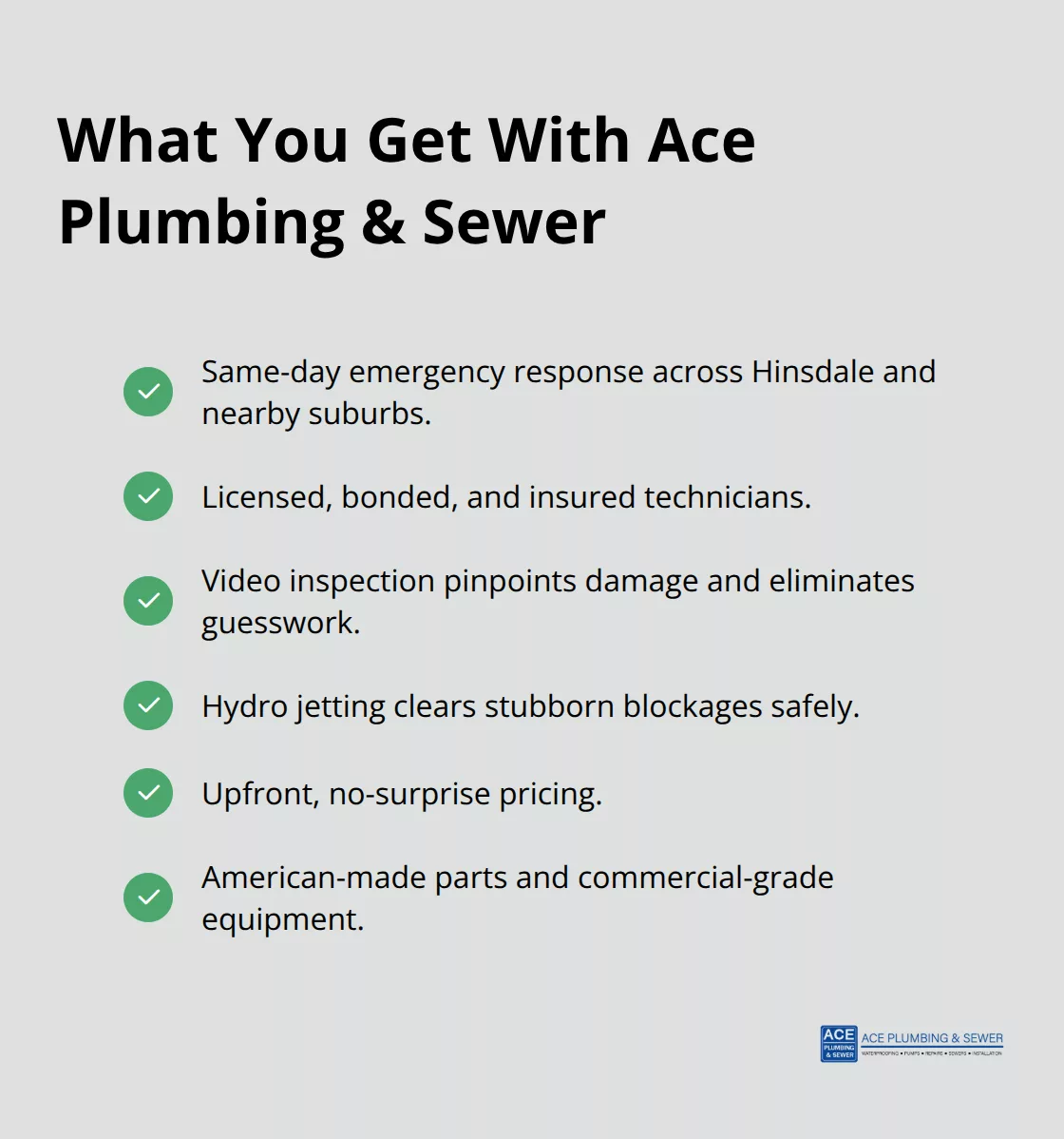 Checkmark list of Ace Plumbing & Sewer emergency service advantages.