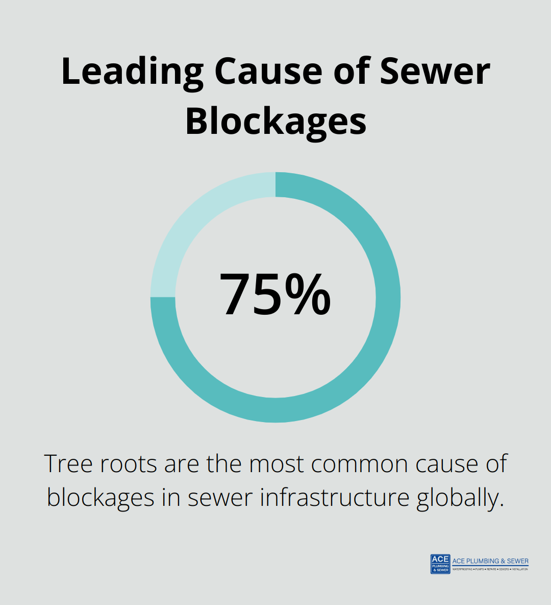 Pie chart showing tree roots as the primary cause of sewer blockages globally - sewer line repair